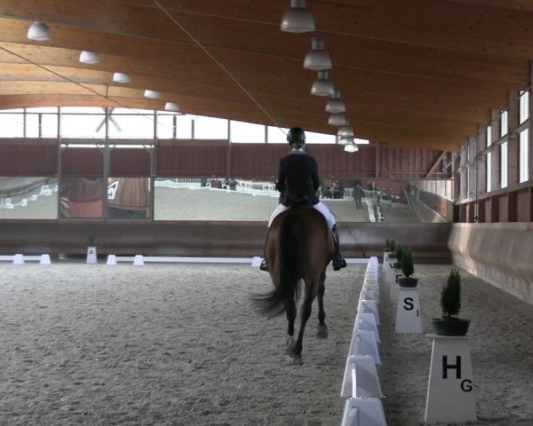 Reitturnier Tremsdorf, Eichenhof 2024