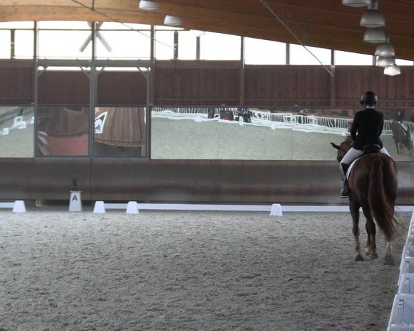 Reitturnier Tremsdorf, Eichenhof 2024