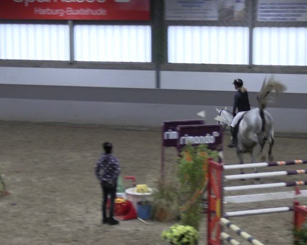 Reitturnier AZL Luhmühlen 2024