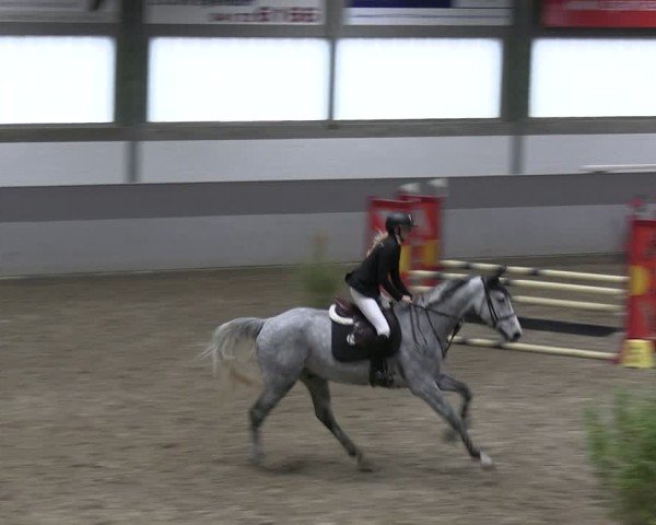 Reitturnier AZL Luhmühlen 2024