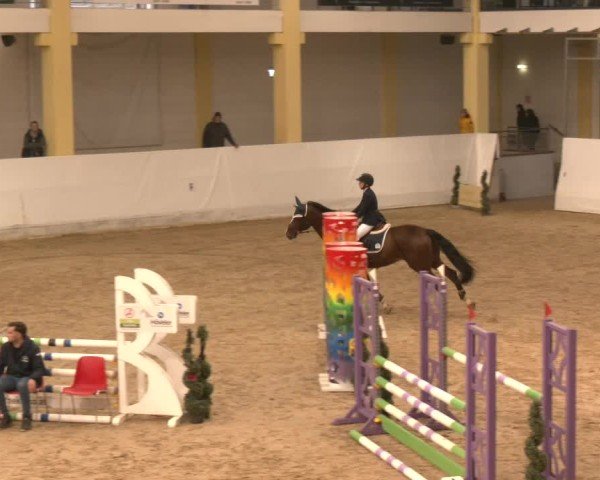 Reitturnier Stadl-Paura 2024