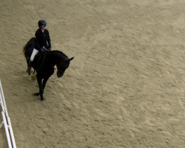 Reitturnier Schaffhausen 2024