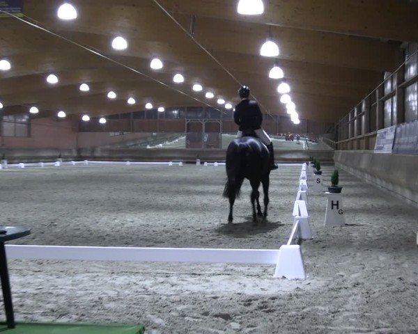 Reitturnier Tremsdorf, Eichenhof 2024