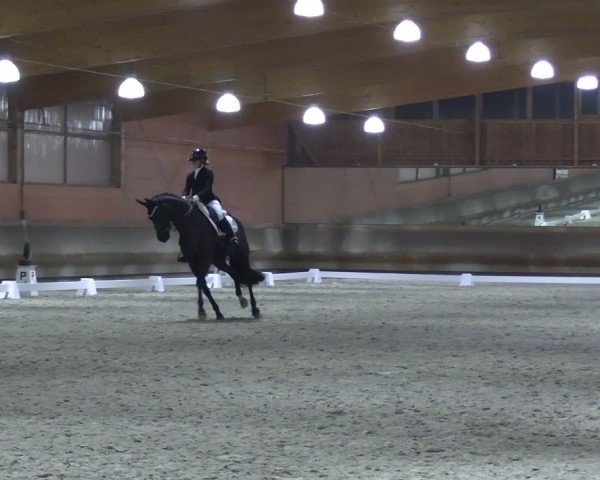 Reitturnier Tremsdorf, Eichenhof 2024