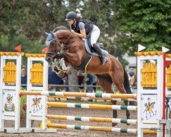 jumper Carenzos Casanova (Hanoverian, 2013, from Carenzo)