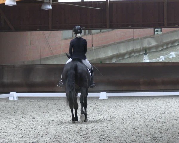 Reitturnier Tremsdorf, Eichenhof 2024