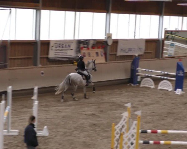 Reitturnier Krombach/Hof-Hauenstein/Ufr. 2024