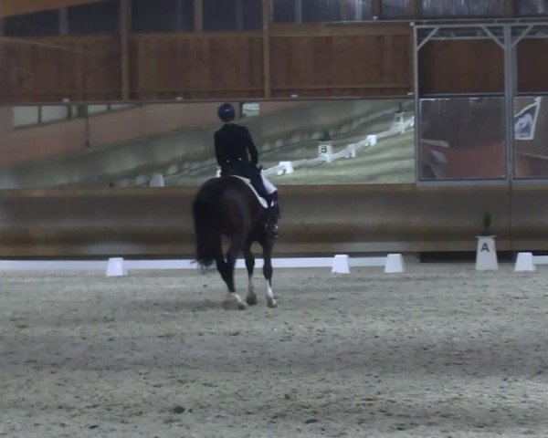 Reitturnier Tremsdorf, Eichenhof 2024