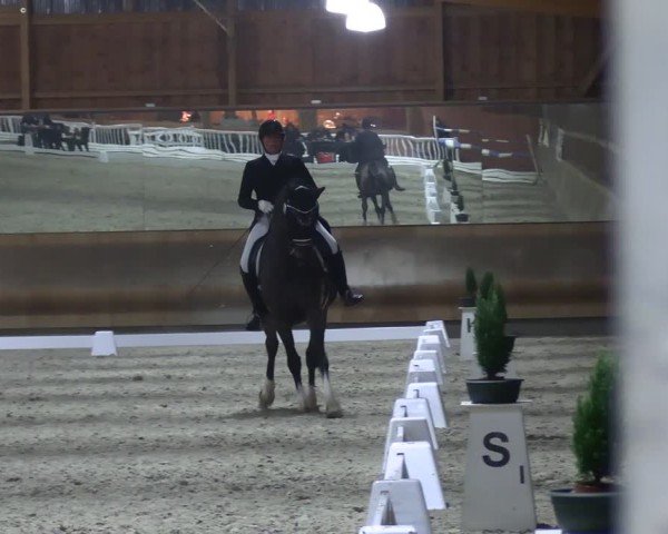 Reitturnier Tremsdorf, Eichenhof 2024