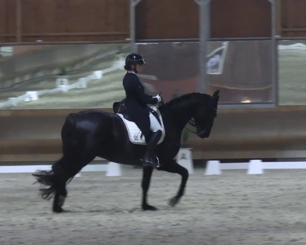 Reitturnier Tremsdorf, Eichenhof 2024
