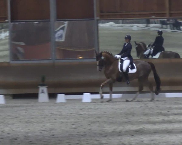 Reitturnier Tremsdorf, Eichenhof 2024