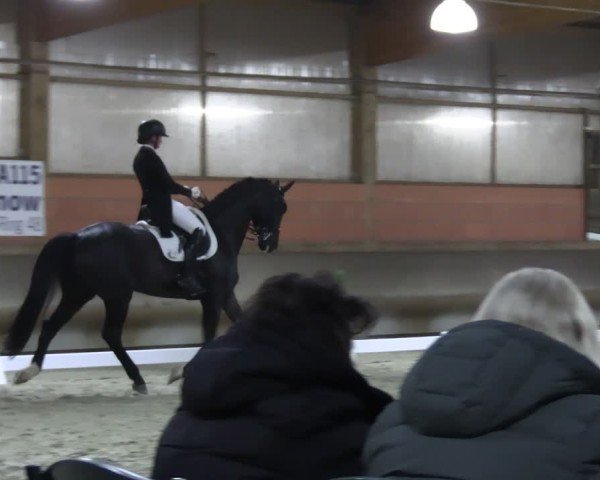 Reitturnier Tremsdorf, Eichenhof 2024