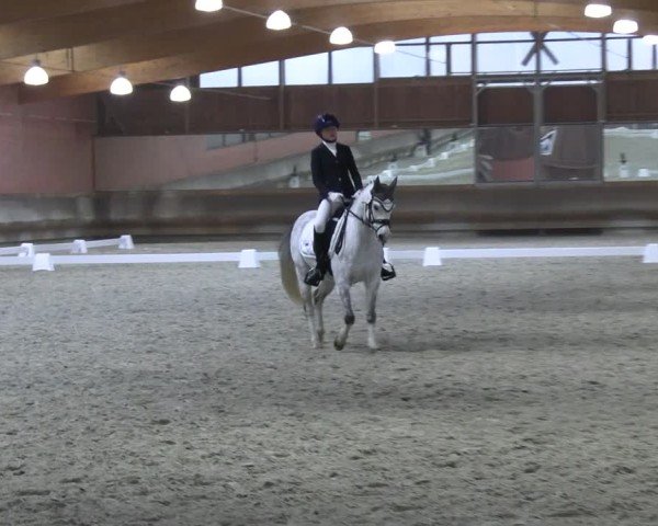 Reitturnier Tremsdorf, Eichenhof 2024
