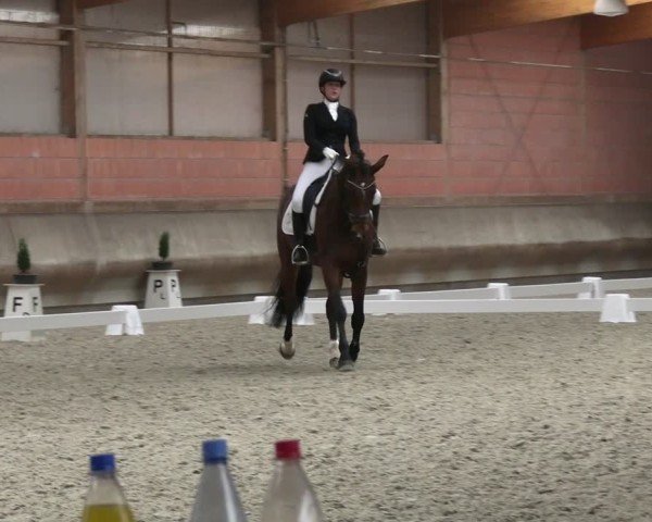 Reitturnier Tremsdorf, Eichenhof 2024