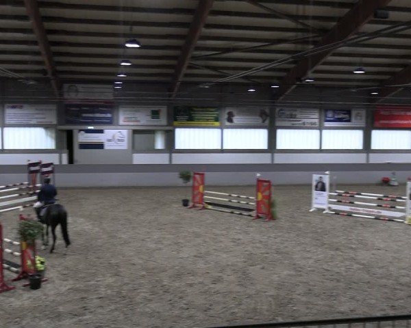 Reitturnier AZL Luhmühlen 2024