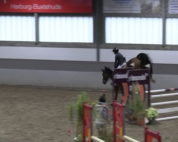 Reitturnier AZL Luhmühlen 2024