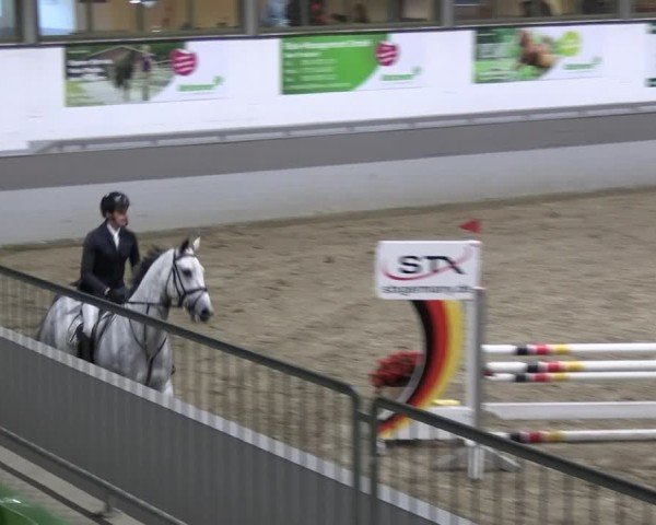 Reitturnier AZL Luhmühlen 2024