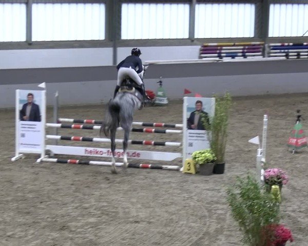 Reitturnier AZL Luhmühlen 2024