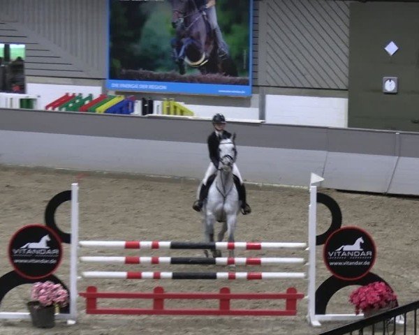 Reitturnier AZL Luhmühlen 2024