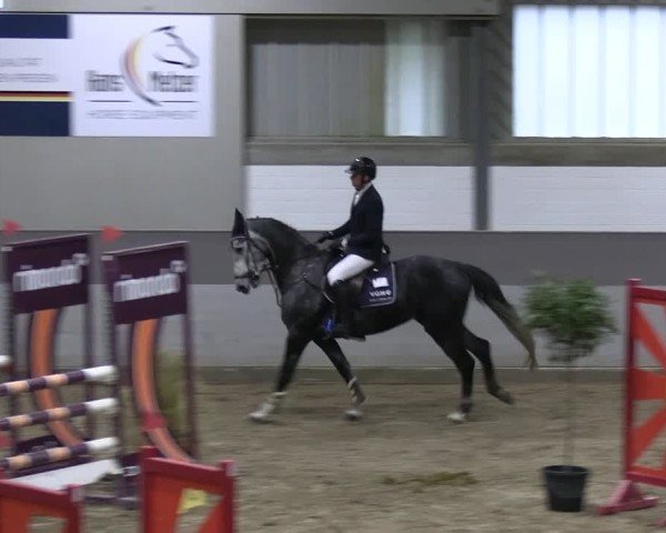 Reitturnier AZL Luhmühlen 2024