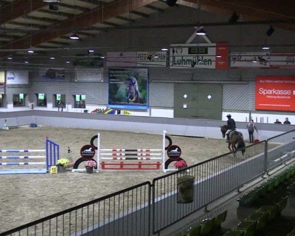 Reitturnier AZL Luhmühlen 2024