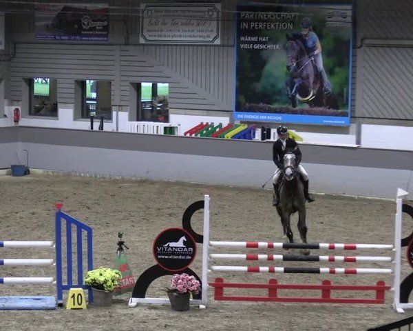 Reitturnier AZL Luhmühlen 2024