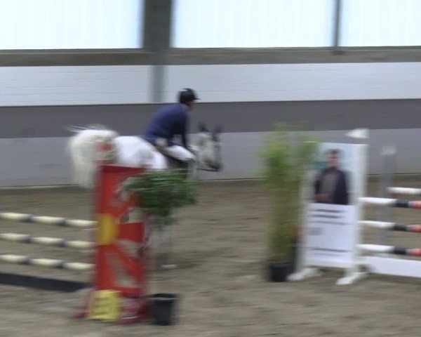 Reitturnier AZL Luhmühlen 2024