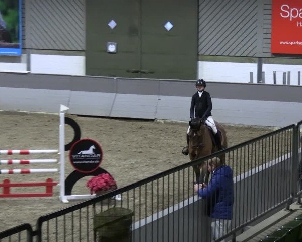 Reitturnier AZL Luhmühlen 2024