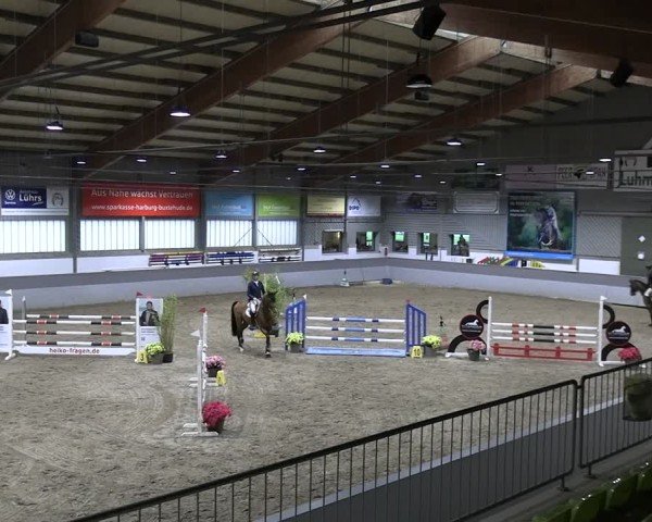 Reitturnier AZL Luhmühlen 2024