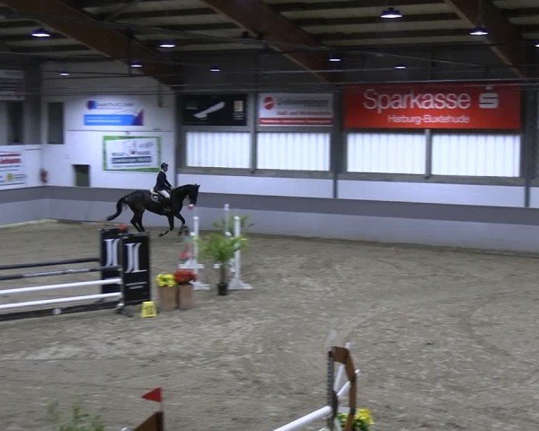 Reitturnier AZL Luhmühlen 2024