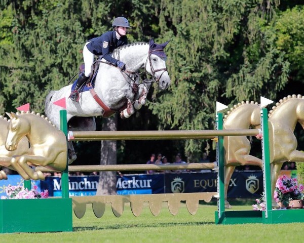 Springpferd NIVANA 4 (Deutsches Sportpferd, 2012, von Numero Uno)