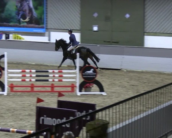 Reitturnier AZL Luhmühlen 2024