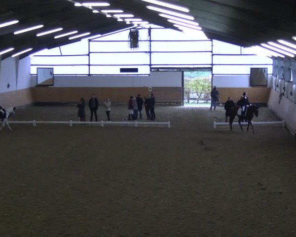 Reitturnier Datteln 2024