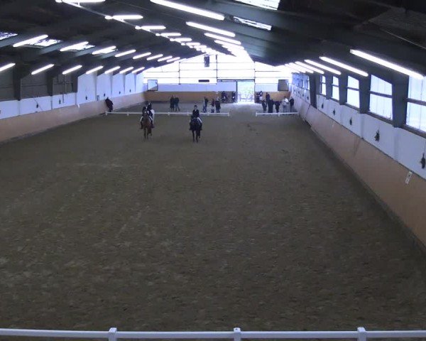 Reitturnier Datteln 2024