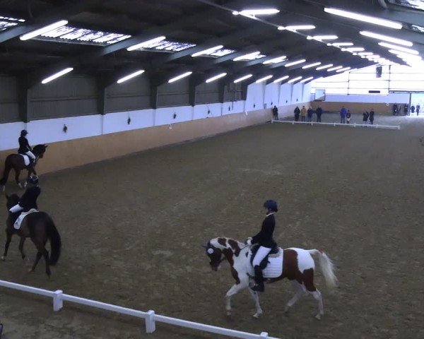 Reitturnier Datteln 2024
