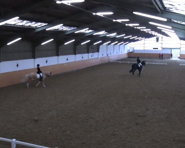 Reitturnier Datteln 2024