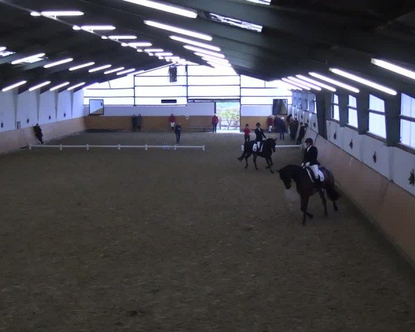 Reitturnier Datteln 2024