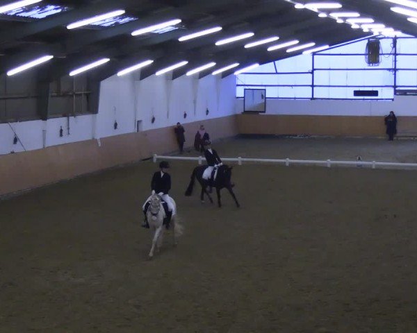 Reitturnier Datteln 2024