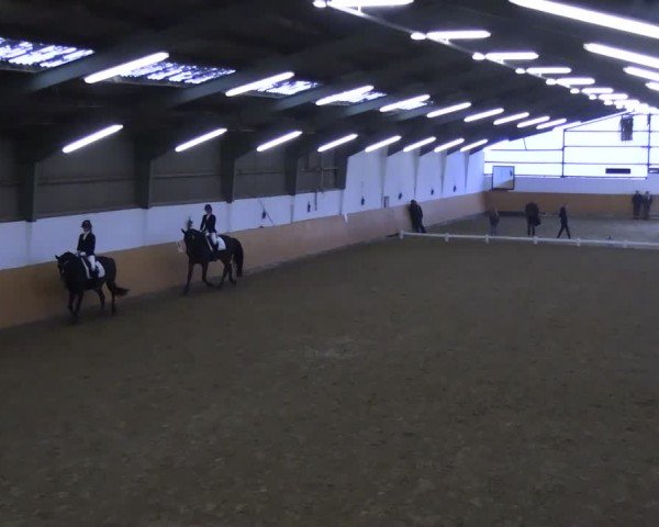 Reitturnier Datteln 2024