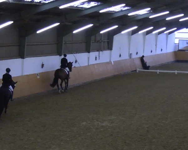 Reitturnier Datteln 2024