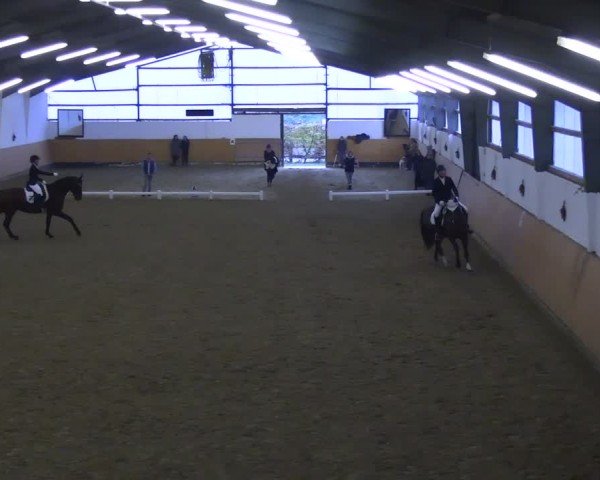 Reitturnier Datteln 2024