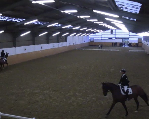 Reitturnier Datteln 2024