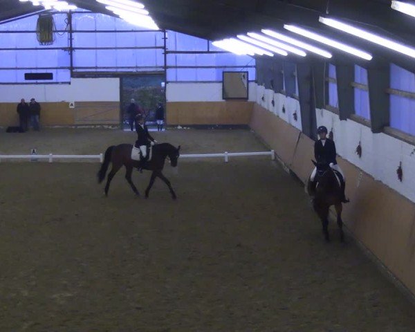 Reitturnier Datteln 2024
