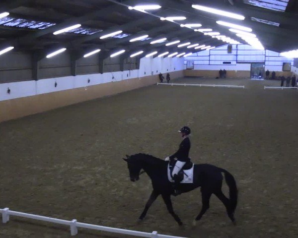 Reitturnier Datteln 2024