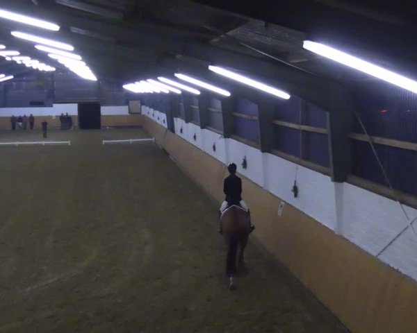 Reitturnier Datteln 2024