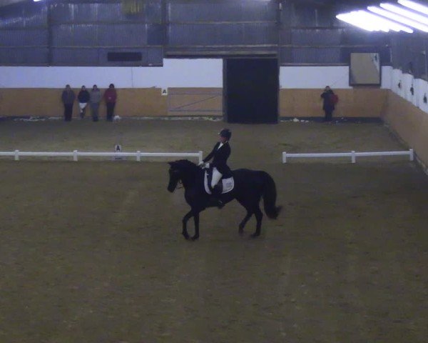 Reitturnier Datteln 2024