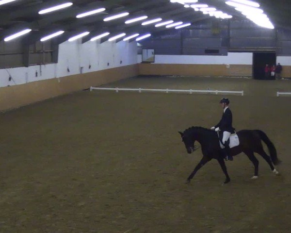 Reitturnier Datteln 2024