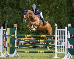 jumper Canino (Oldenburg show jumper, 2016, from Casallco)