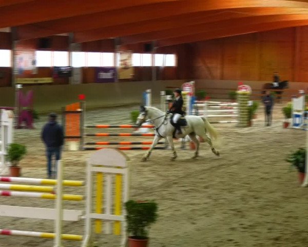 Reitturnier Klein-Partwitz 2021
