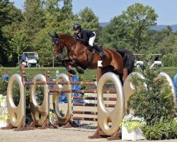 jumper Bonne Amie 19 (Oldenburg, 2013, from Ad A Big Boy)